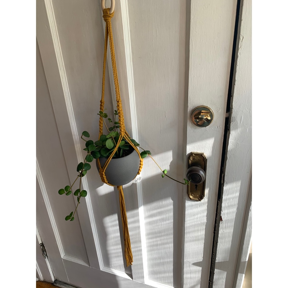 But 1 get 1 50% off -Handmade Macrame Plant Hanger